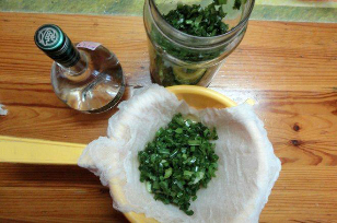 kolanchoe a Wodka Tinktur