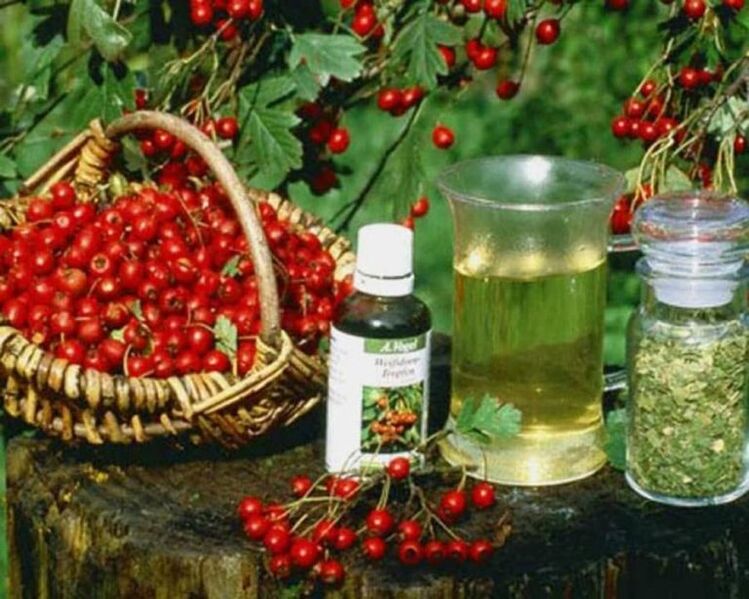 Folk Heilmittel fir d 'Behandlung vun Prostatitis