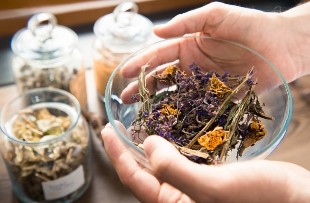 Phytotherapie